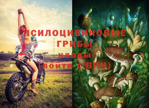 сатива Белоозёрский