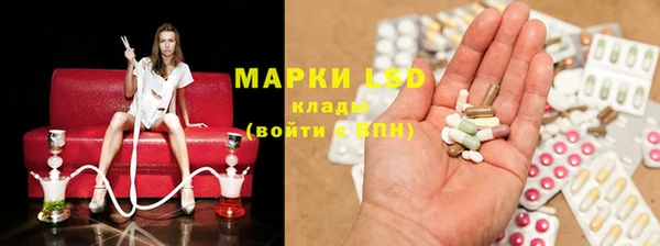 стаф Беломорск