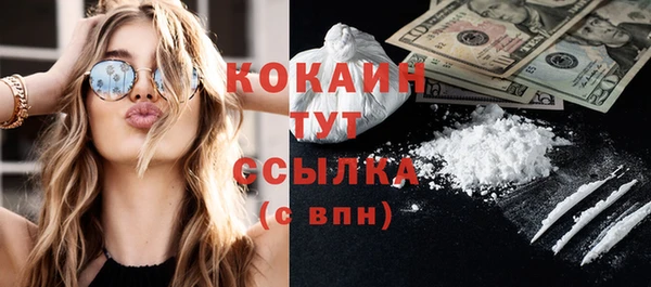 бошки Белокуриха