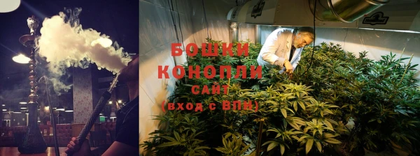 бошки Белокуриха