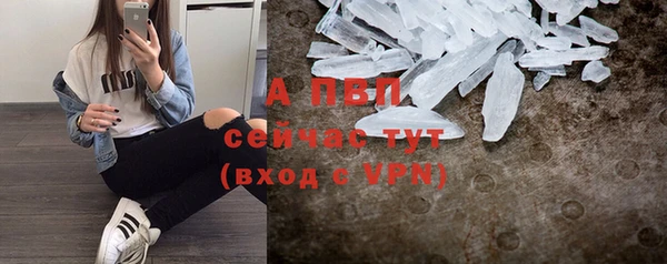 сатива Белоозёрский
