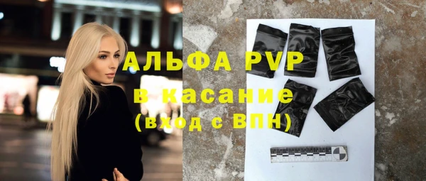 сатива Белоозёрский