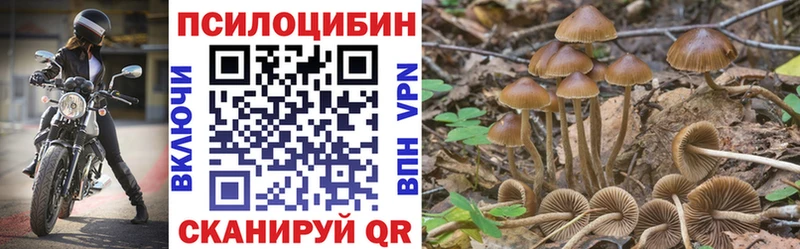 Псилоцибиновые грибы Psilocybe kraken рабочий сайт Курильск